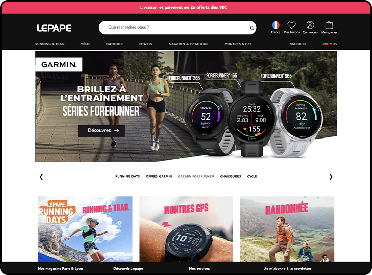 Capture d'écran du design du site web lepape.com